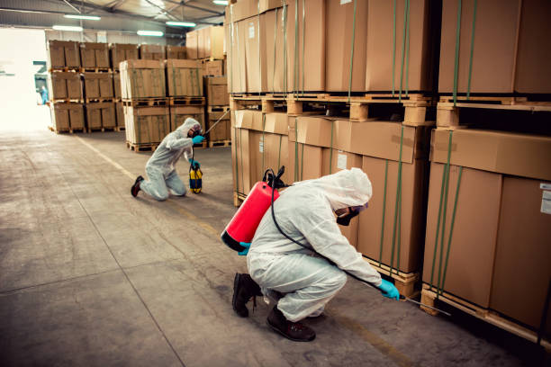 Best Flea Control Services  in Fairfield, AL