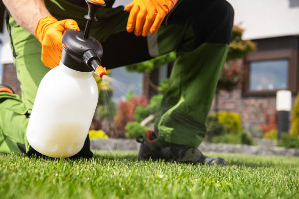 Best Exterminator Services  in Fairfield, AL