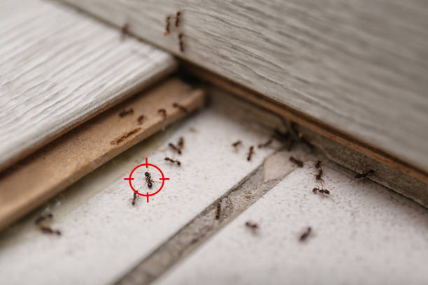 Best Pest Control for Restaurants  in Fairfield, AL