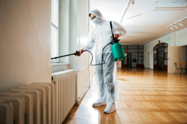 Best Bed Bug Extermination  in Fairfield, AL
