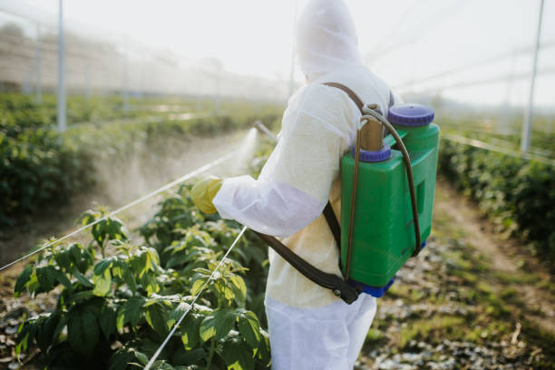 Best Best Pest Control Companies  in Fairfield, AL
